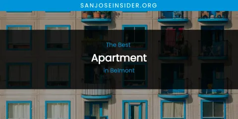 The Absolute Best Apartment in Belmont