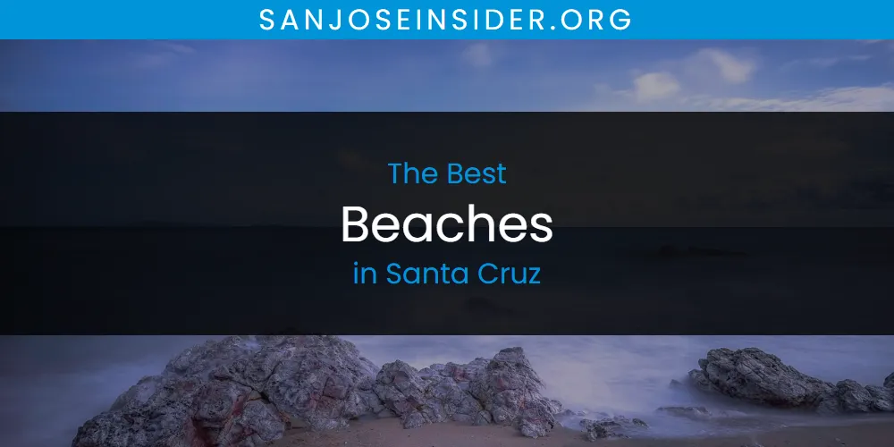 Santa Cruz's Best Beaches [Updated 2025]