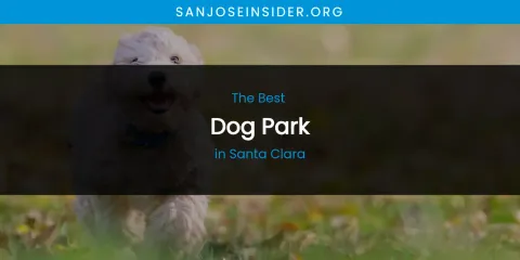 Santa Clara's Best Dog Park