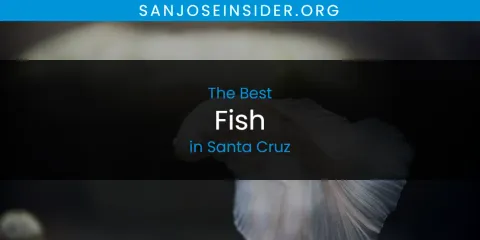 Guide to Best Fish in Santa Cruz