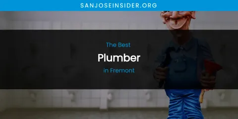 The Absolute Best Plumber in Fremont
