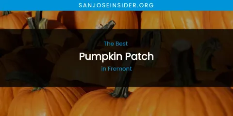 The Absolute Best Pumpkin Patch in Fremont