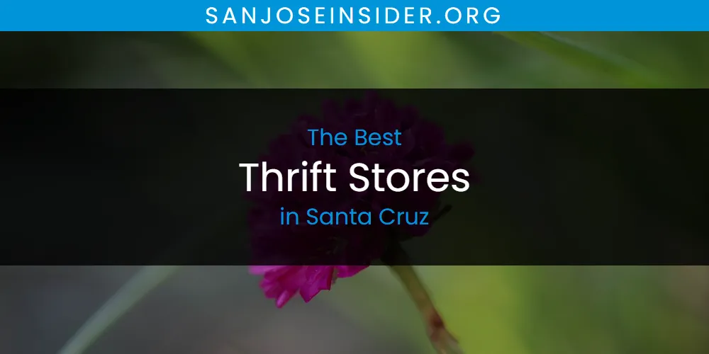Santa Cruz's Best Thrift Stores [Updated 2025]