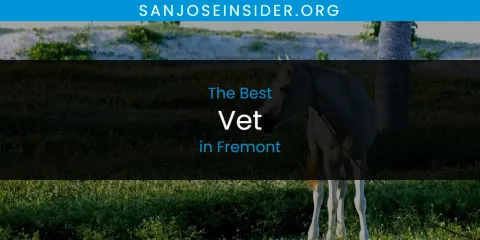 Best Vet in Fremont: Complete Guide