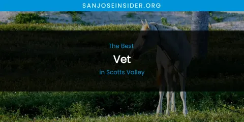 Scotts Valley's Best Vet